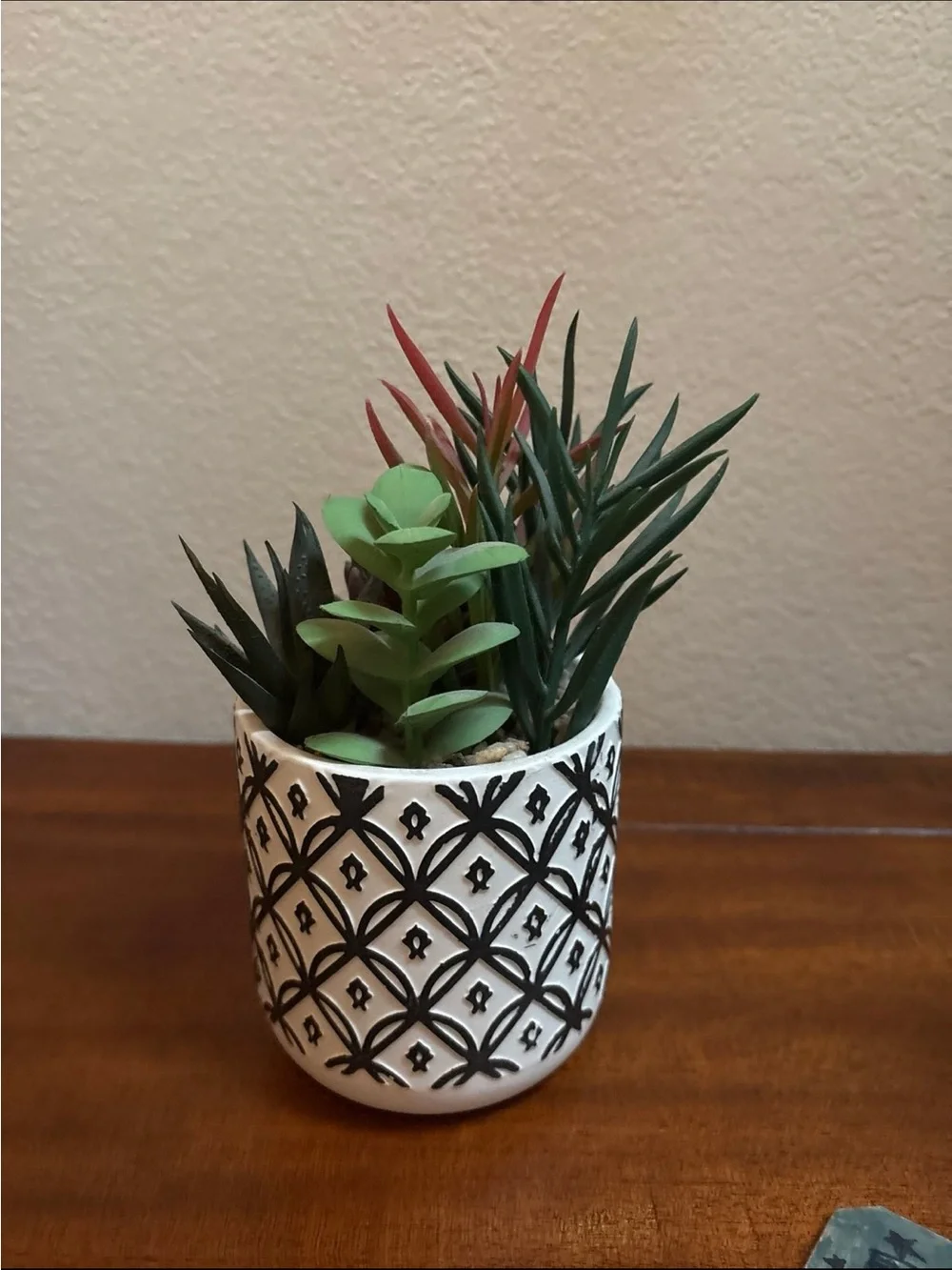 Garden Party Faux Succulent